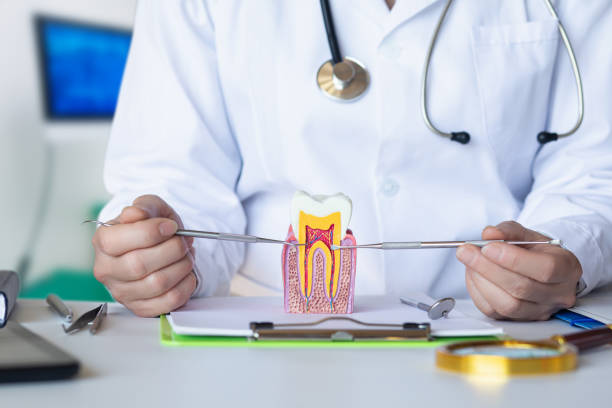 Best Emergency Root Canal Treatment in Maplewood, WA